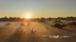 Summer Solstice