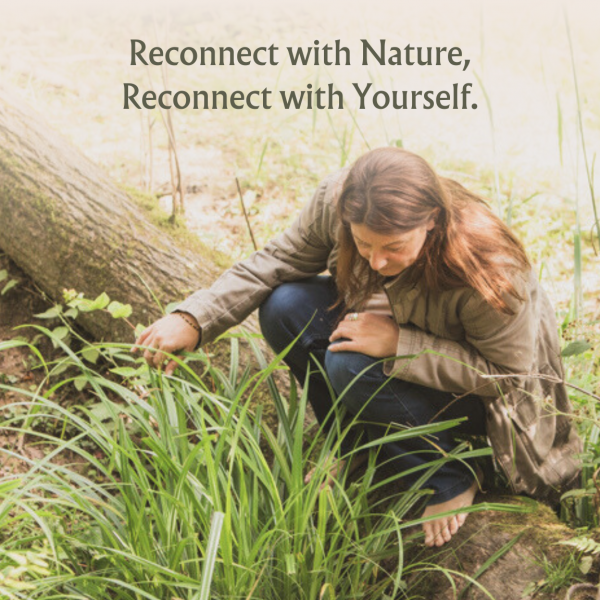 Forest Bathing