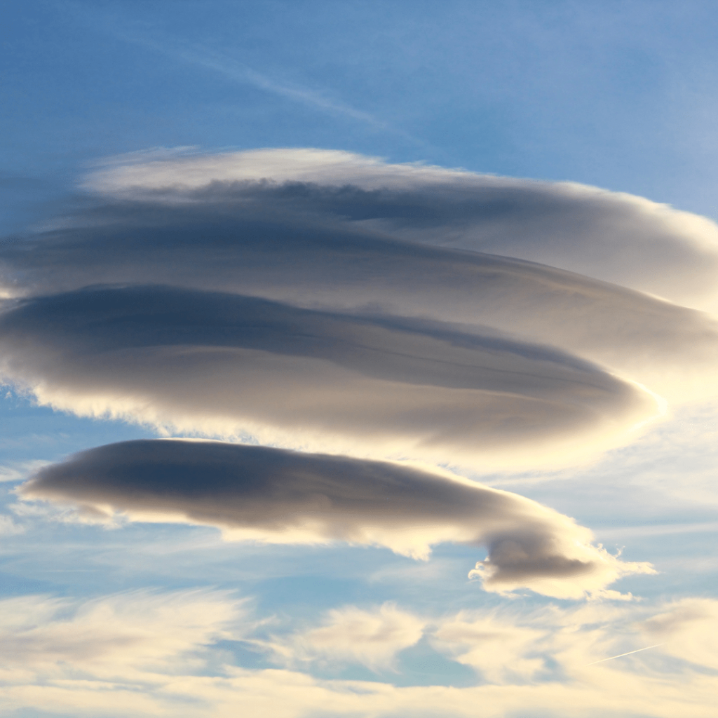 Lenticular