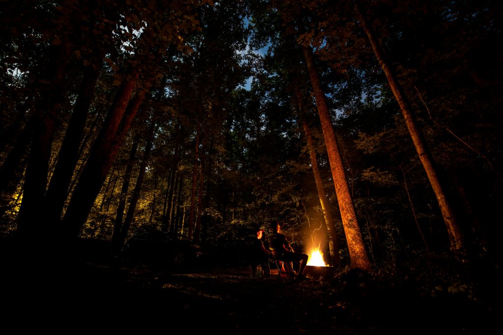 Forest Bathing After Dark