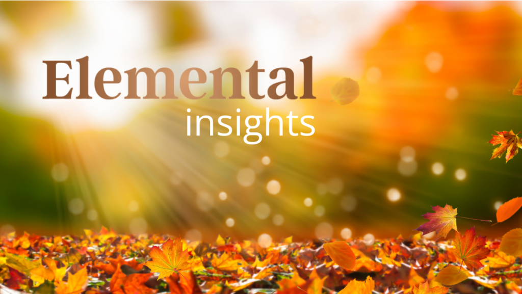 Samhain Elemental Insights 2025