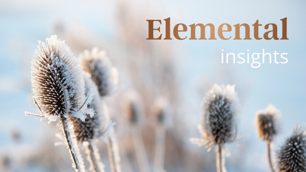 Elemental Insights - Imbolc 2026
