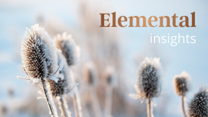 Elemental Insights - Imbolc 2026